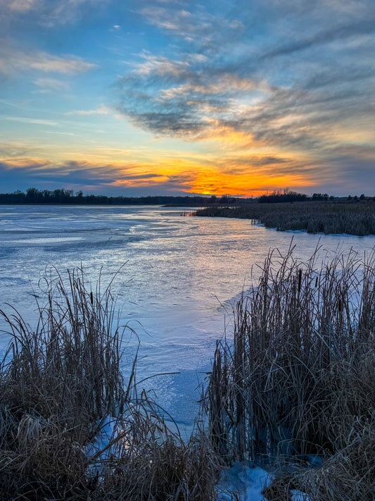 Stillness Over Ice