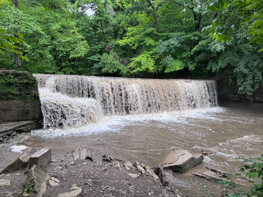 Forest Cascade