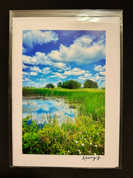 Water's Edge - Greeting Card