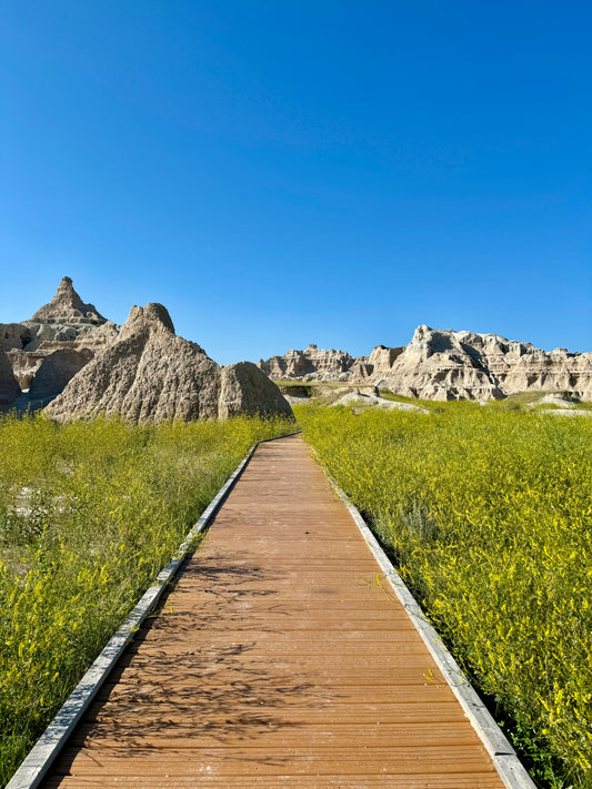 Door Trail
